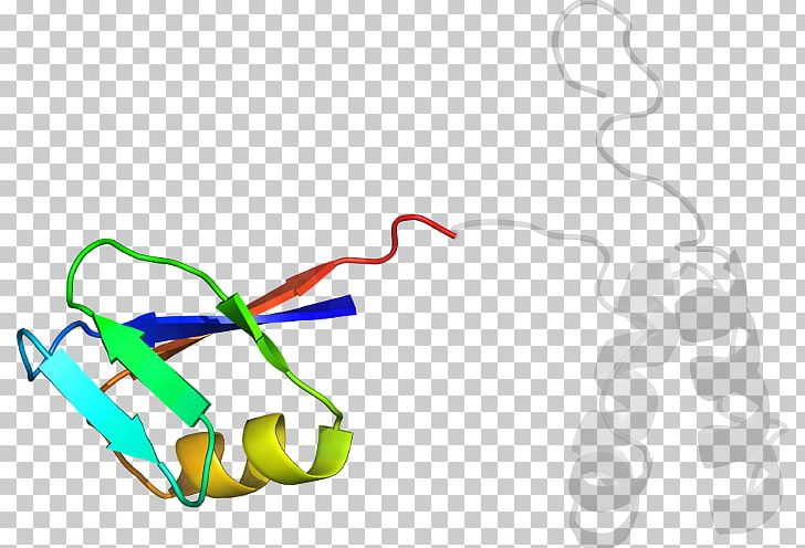Line PNG, Clipart, Area, Art, Line, Organism, Poly Adpribose Polymerase Free PNG Download