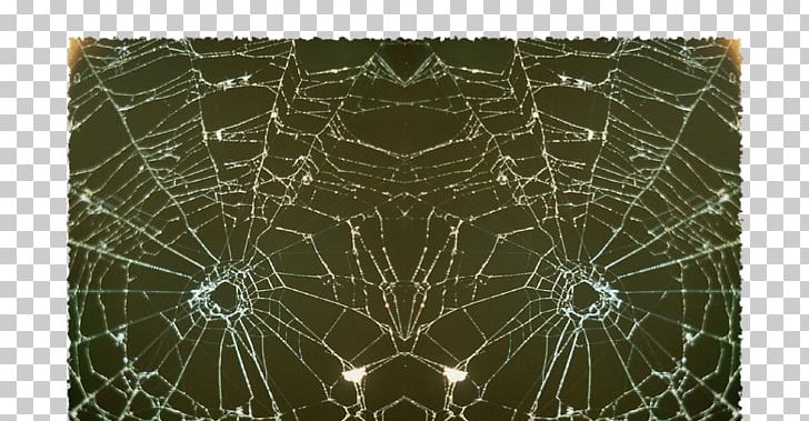 World Wide Web Spider Web Email Text Messaging PNG, Clipart, Address, Blog, Email, Email Address, Hair Free PNG Download