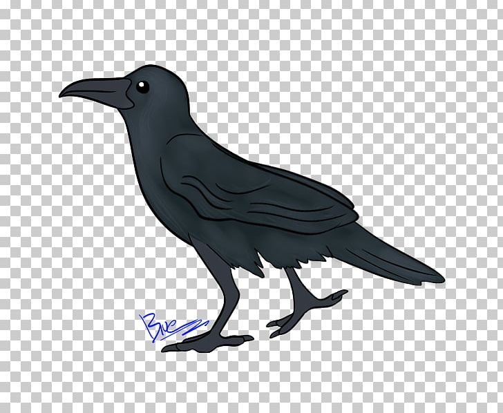 American Crow New Caledonian Crow Common Raven Fauna PNG, Clipart,  Free PNG Download