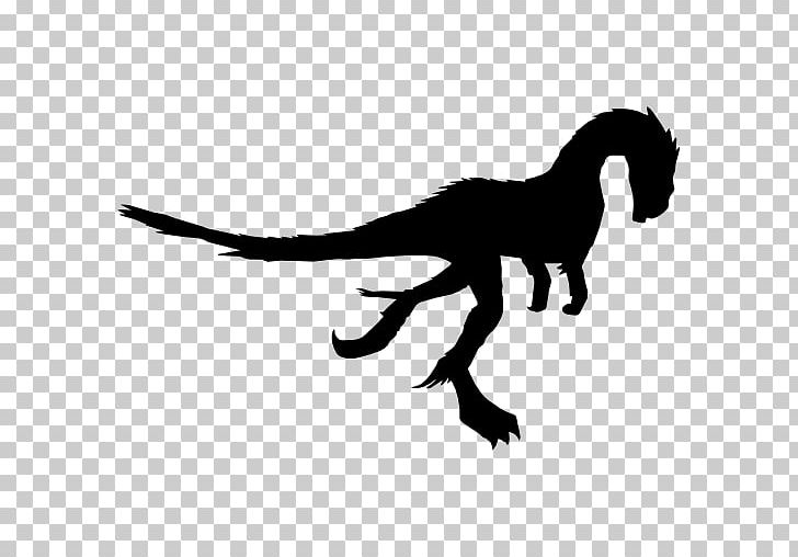 Dilong Caudipteryx Dinosaur Gigantoraptor PNG, Clipart, Animal, Black And White, Caudipteryx, Computer Icons, Dilong Free PNG Download