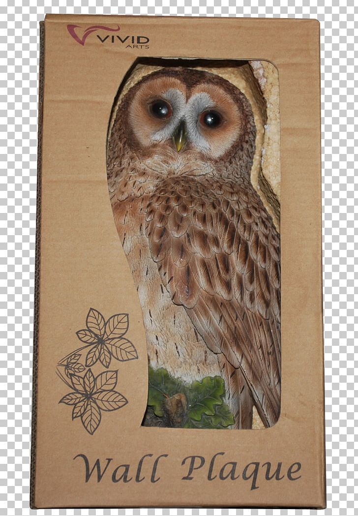 Owl Garden Ornament Flowerpot PNG, Clipart, Animals, Beak, Bird, Bird Of Prey, Decorative Arts Free PNG Download