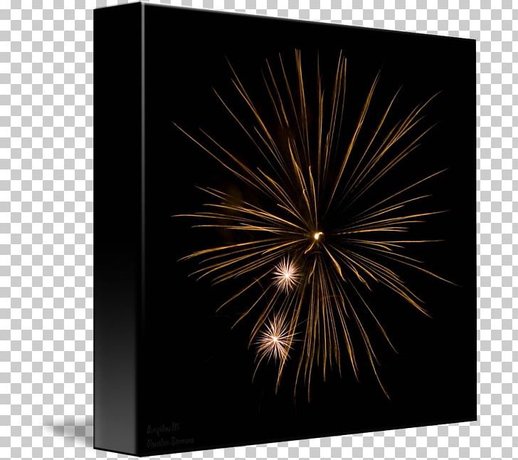 Stock Photography Fireworks PNG, Clipart, Fireworks, Holidays, Photography, Stock Photography Free PNG Download