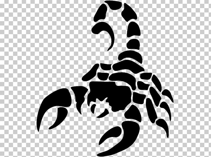 The Scorpion Portable Network Graphics PNG, Clipart, Artwork, Black, Black And White, Computer Icons, Desktop Wallpaper Free PNG Download