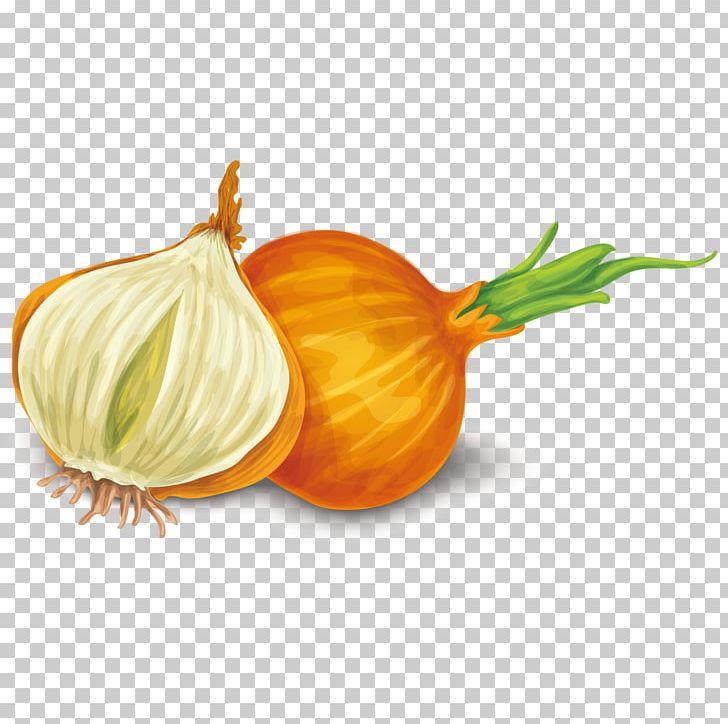 Yellow Onion Shallot Calabaza Dietary Supplement Food PNG, Clipart, Dietary Supplement, Food, Fruit, Green Onion, Happy Birthday Vector Images Free PNG Download