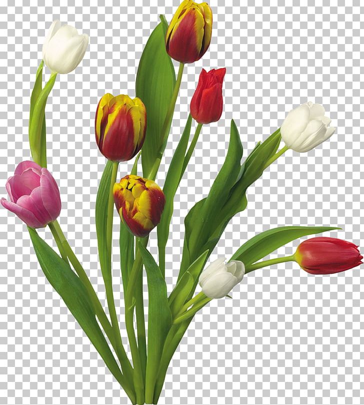 Tulip Flower Bouquet Desktop Flower Garden PNG, Clipart, 1080p, Bud, Computer, Cut Flowers, Desktop Wallpaper Free PNG Download