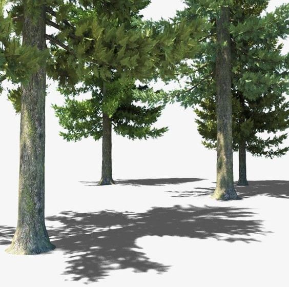 Forest PNG, Clipart, 3d Trees, Creative, Forest, Forest Clipart, Forest Clipart Free PNG Download