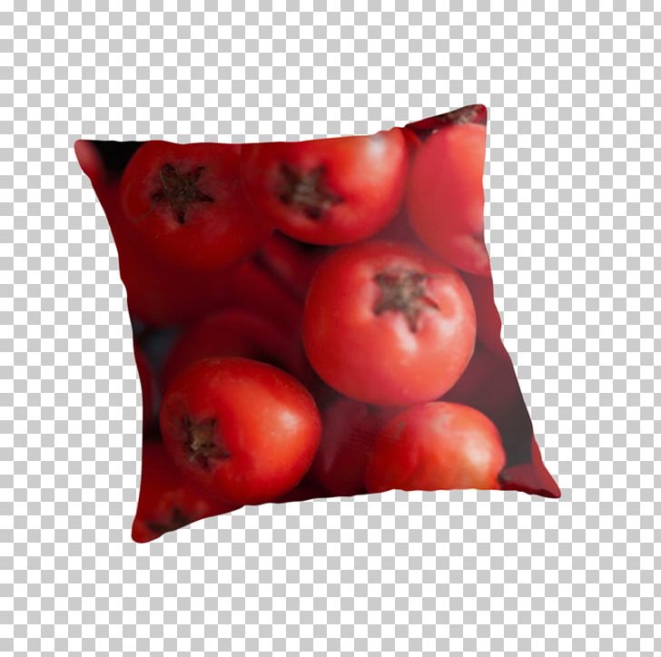 Tomato Cushion PNG, Clipart, Cushion, Food, Fruit, Mountain Ash, Potato And Tomato Genus Free PNG Download