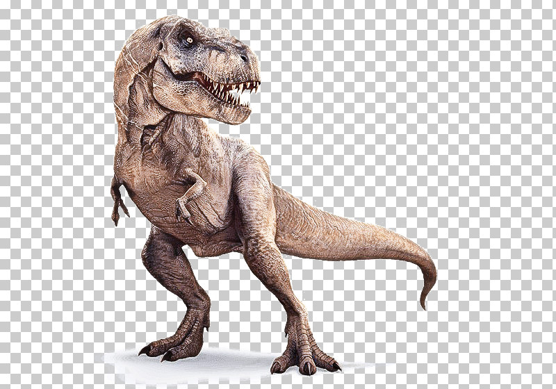 Dinosaur PNG, Clipart, Animal Figure, Dinosaur, Extinction, Pachycephalosaurus, Tyrannosaurus Free PNG Download