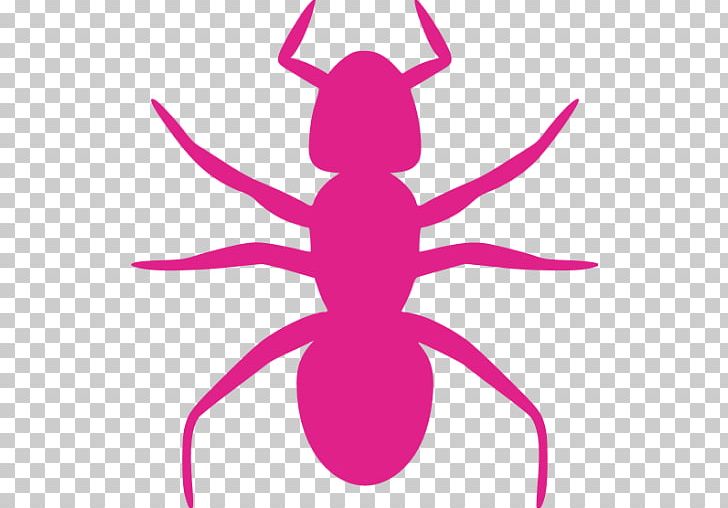 Ant Drawing PNG, Clipart, Animation, Ant, Artwork, Black Garden Ant, Drawing Free PNG Download
