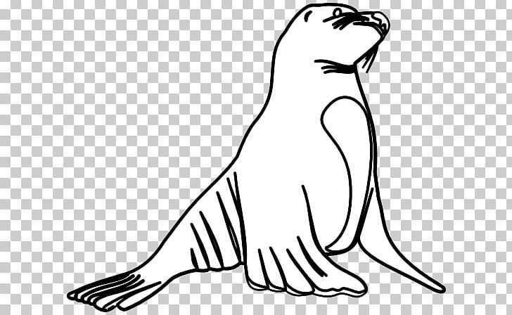 Earless Seal Sea Lion PNG, Clipart, Artwork, Beak, Bird, Black, Black And White Free PNG Download