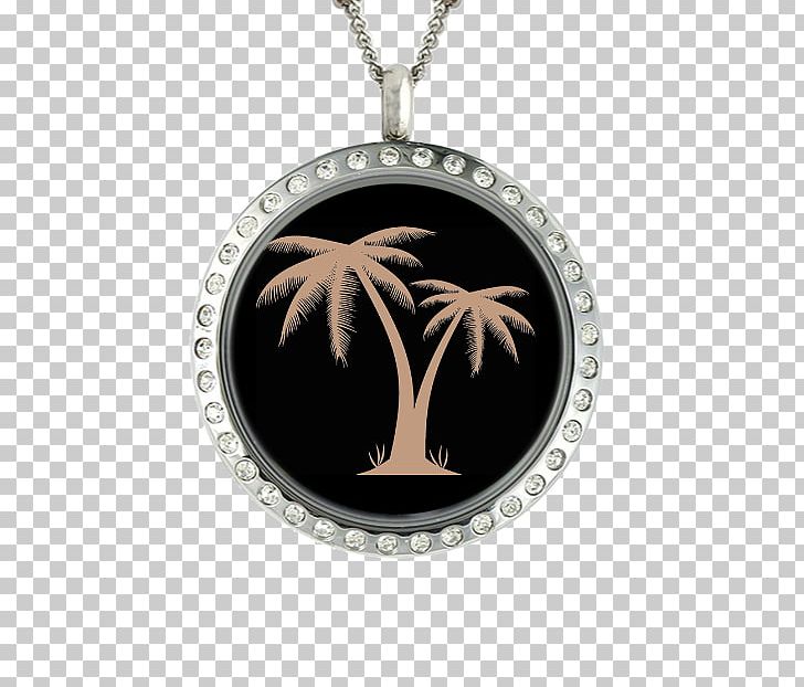 Locket Necklace Charms & Pendants Charm Bracelet Jewellery PNG, Clipart, Amulet, Birthstone, Brown Tree, Chain, Charm Bracelet Free PNG Download