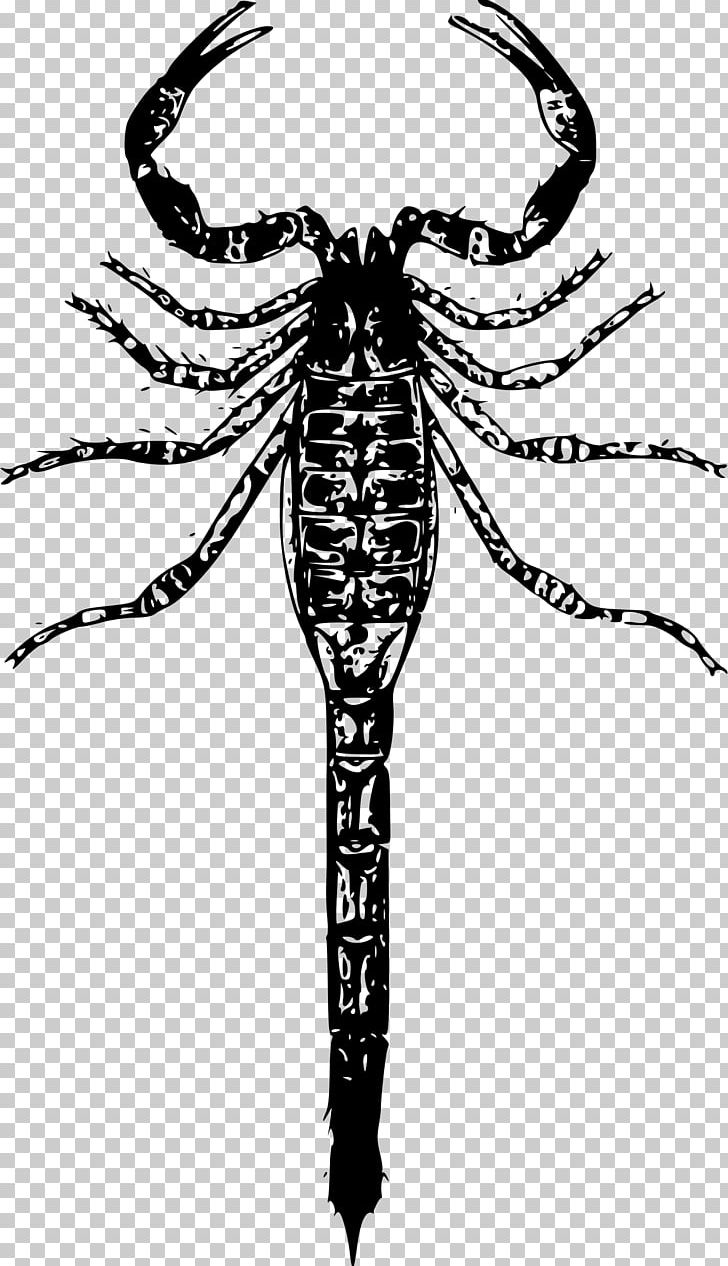 Scorpion T-shirt PNG, Clipart, Arthropod, Autocad Dxf, Black And White, Encapsulated Postscript, Insect Free PNG Download