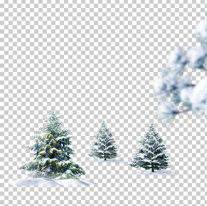 Snowman Christmas Winter PNG, Clipart, 1080p, Aspect Ratio, Cedar, Chris, Christmas Decoration Free PNG Download