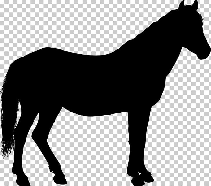 Horse Silhouette PNG, Clipart, Animals, Black And White, Col, Download, Equestrian Free PNG Download