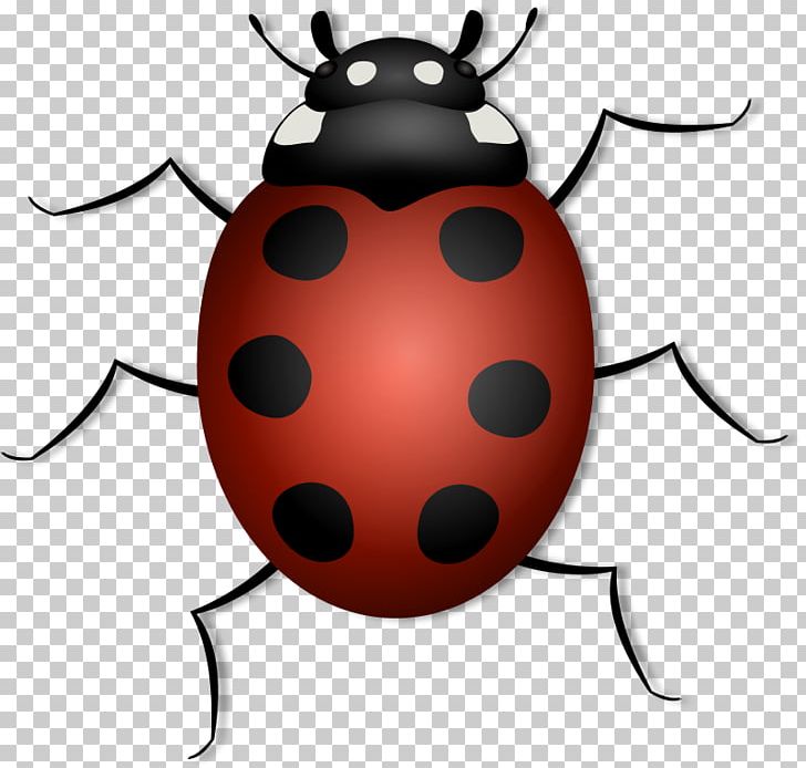 Beetle Ladybird PNG, Clipart, Beetle, Blog, Computer Icons, Download, Free Content Free PNG Download