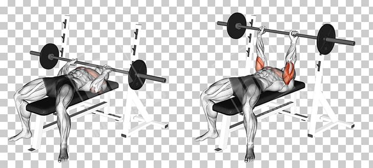Bench Press Exercise Barbell Strength Training PNG, Clipart, Angle, Arm, Barbell, Barbell Bench Press, Bench Free PNG Download