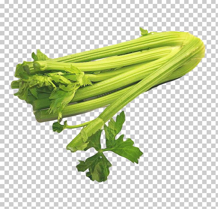 Celery Ossobuco Vegetable Food PNG, Clipart, Apiaceae, Apium, Broccoli, Carrot, Celery Free PNG Download