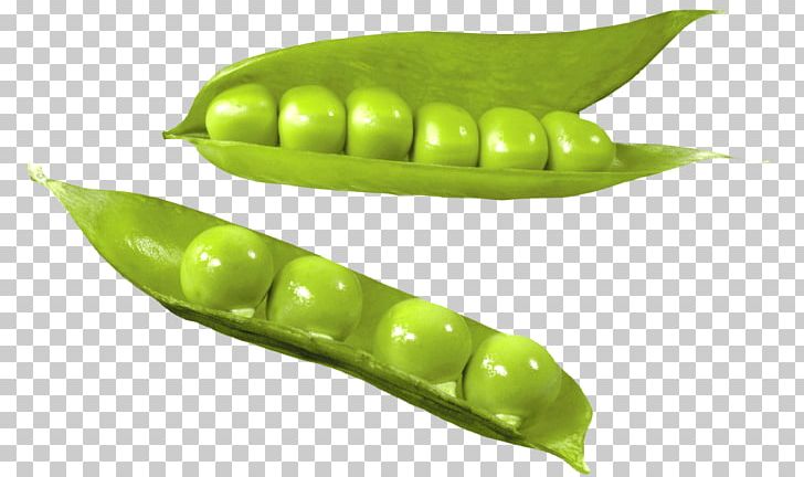 Pea Vegetable Common Bean Green Bean PNG, Clipart, Bean, Bell Pepper, Commodity, Common Bean, Cooking Free PNG Download