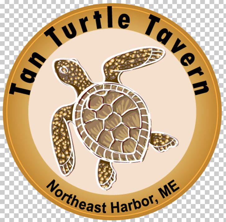 Tan Turtle Tavern Menu Restaurant Bar Diner PNG, Clipart, Badge, Bar, Cajun Cuisine, Contact, Contact Us Free PNG Download