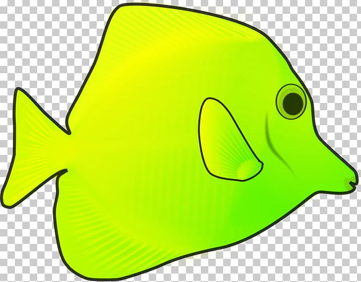 Koi Goldfish Tropical Fish PNG, Clipart, Animal, Animals, Blue Shark, Clip Art, Fish Free PNG Download