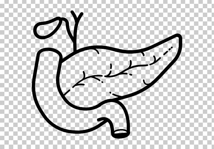 Pancreas Computer Icons Duodenum Nose PNG, Clipart, Anatomy, Art, Artwork, Black, Black And White Free PNG Download