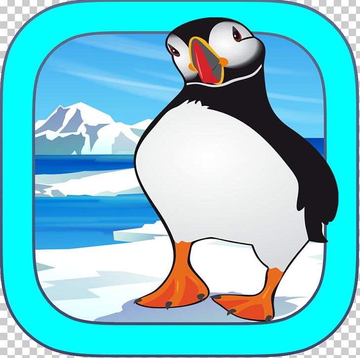 Puffin Penguin Beak PNG, Clipart, Animals, Artwork, Beak, Bird, Charadriiformes Free PNG Download