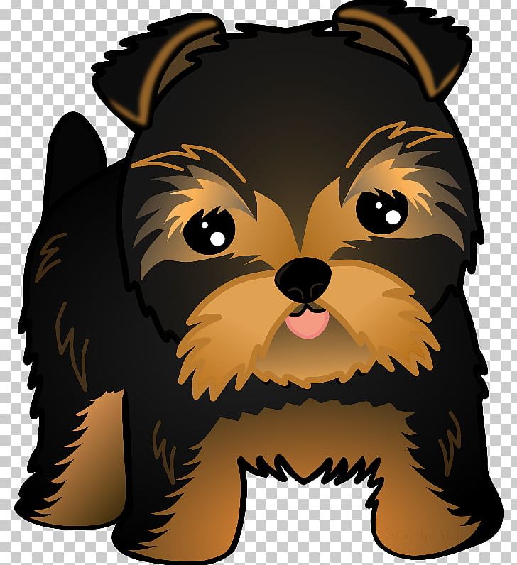 Yorkshire Terrier Puppy Dog Breed Shih Tzu Pomeranian PNG, Clipart, Animals, Breed, Carnivoran, Companion Dog, Cuteness Free PNG Download