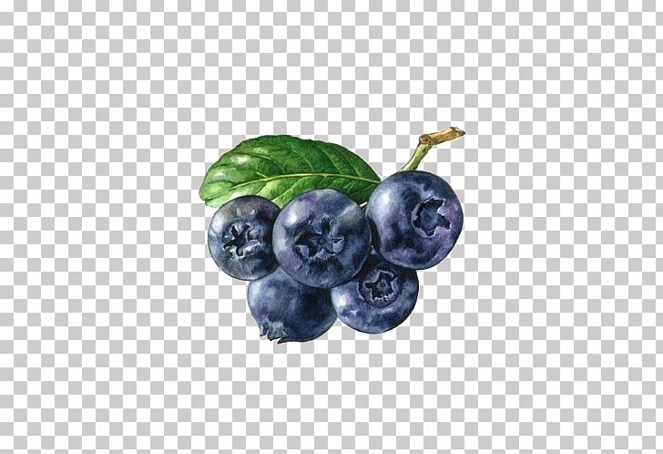 Berry Fruit Auglis PNG, Clipart, Berry, Bilberry, Blueberry, Blueberry Tea, Delicious Free PNG Download