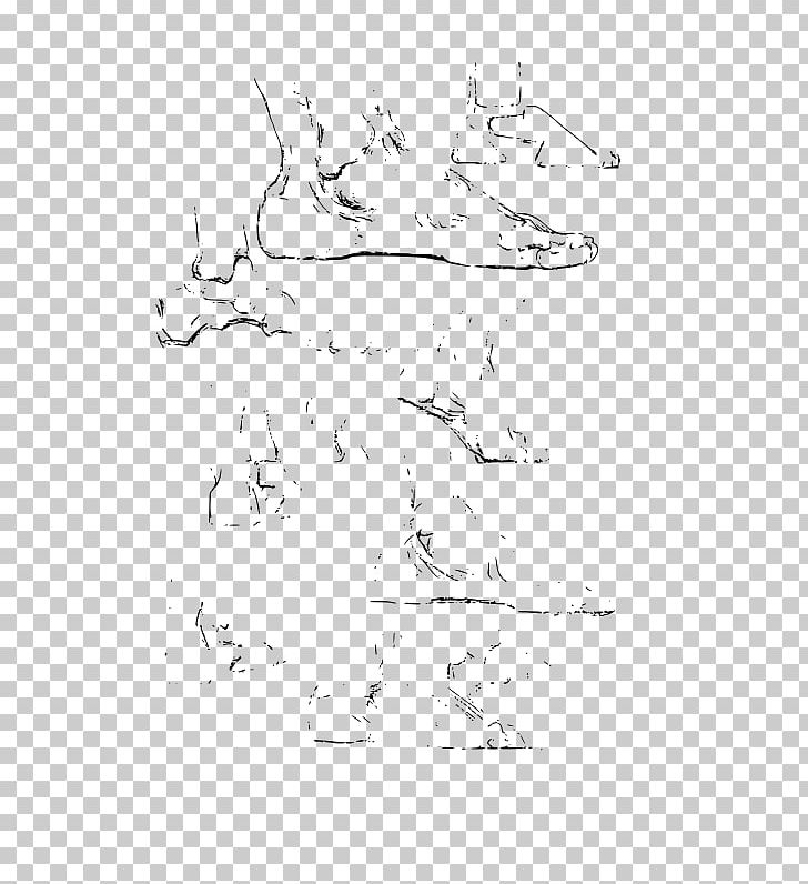 Constructive Anatomy Drawing Sketch PNG, Clipart, Anatomy, Anatomy Drawing, Angle, Area, Art Free PNG Download