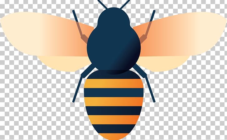 Honey Bee PNG, Clipart, Arthropod, Bee, Bee Venom, Clip Art, Fly Free PNG Download