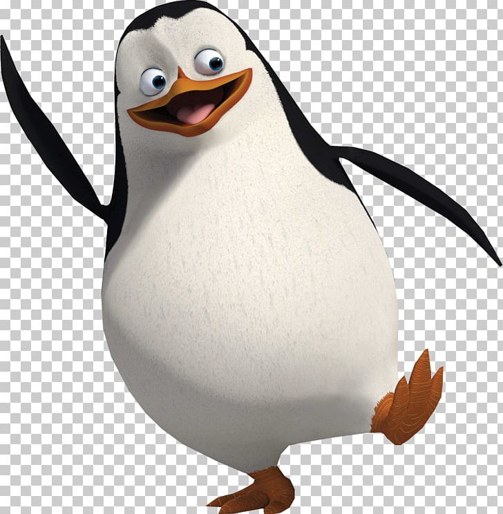 Skipper Madagascar Alex Film Animation PNG, Clipart, Beak, Bird, Computer Animation, Dreamworks Animation, Duck Free PNG Download