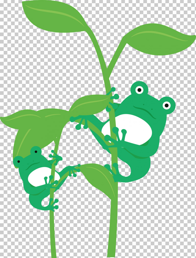 Leaf Plant Stem Frogs Meter Cartoon PNG, Clipart, Cartoon, Frog, Frogs, Green, Leaf Free PNG Download