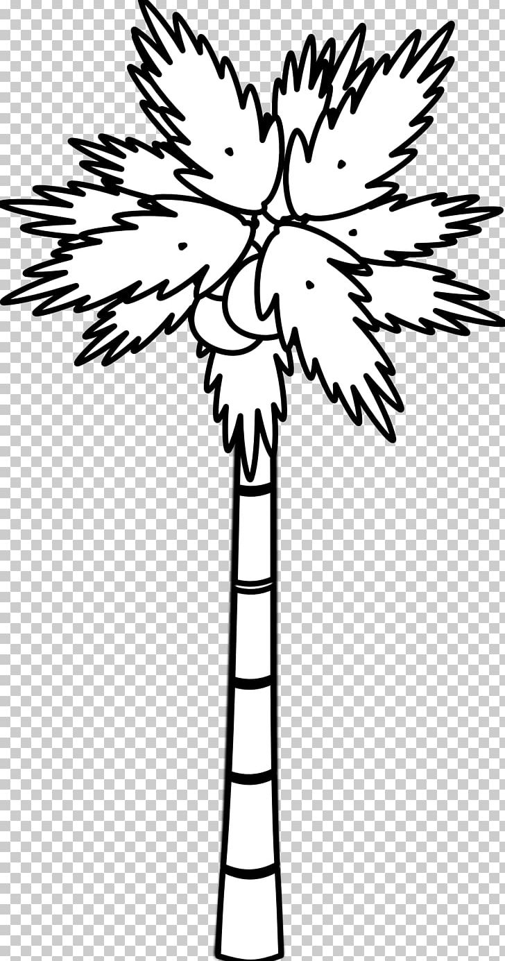 Coconut Tree Arecaceae PNG, Clipart, Arecaceae, Black, Black And White, Black And White Tree Tattoos, Branch Free PNG Download