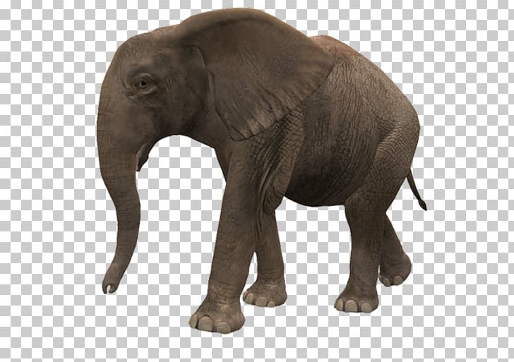 Indian Elephant PNG, Clipart, African, African Bush Elephant, Animal, Animal Figure, Animals Free PNG Download