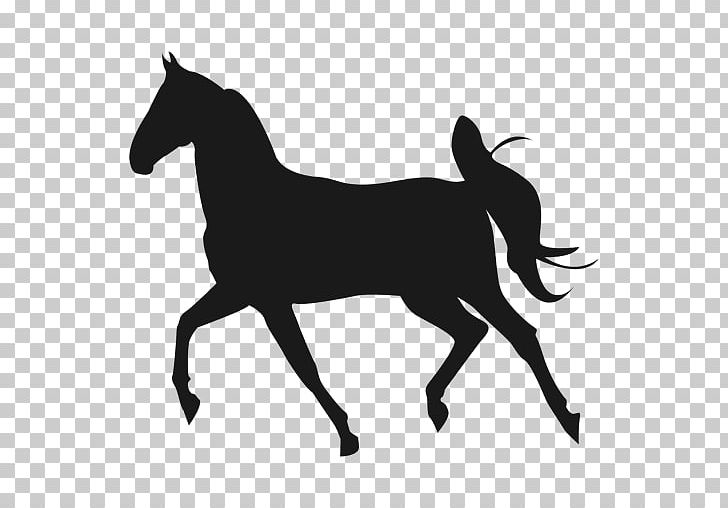 Mustang Mangalarga Marchador Stallion PNG, Clipart, Black, Black And White, Bridle, Colt, Computer Icons Free PNG Download