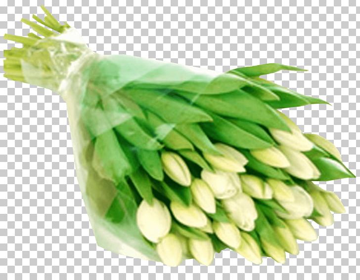 Tulip White Flower Bouquet Almaflowers.kz PNG, Clipart, Artikel, Cellophane, Commodity, Cut Flowers, Flower Free PNG Download
