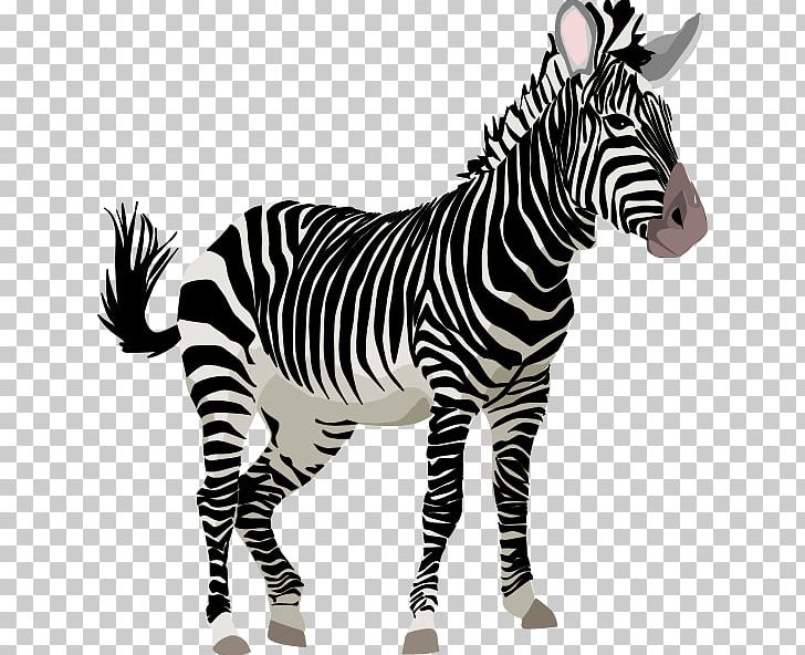 Zebra Cuteness Cartoon PNG, Clipart, Animated Zebra Cliparts, Art, Black And White, Cartoon, Cuteness Free PNG Download