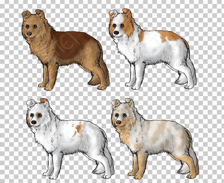 Dog Breed Rare Breed (dog) Puppy Breed Group (dog) PNG, Clipart, Animal, Animal Figure, Animals, Breed, Breed Group Dog Free PNG Download