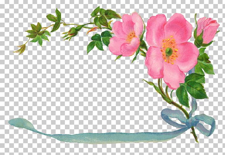 Urdu Poetry Ik Kleur Love PNG, Clipart, Blossom, Branch, Cut Flowers, Flora, Floral Design Free PNG Download
