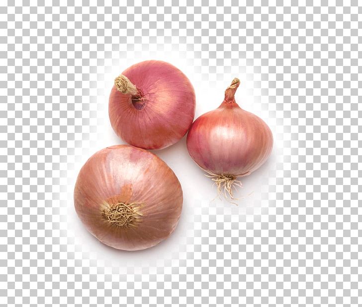 Yellow Onion Shallot Figueres Onion Garlic Ryvita PNG, Clipart, Cracker, Crispbread, Cultivar, Food, Garlic Free PNG Download