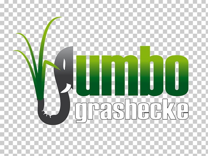 Garden Jumbograshecke Napier Grass Horticulture PNG, Clipart, Brand, Energy, Energy Crop, Garden, Graphic Design Free PNG Download