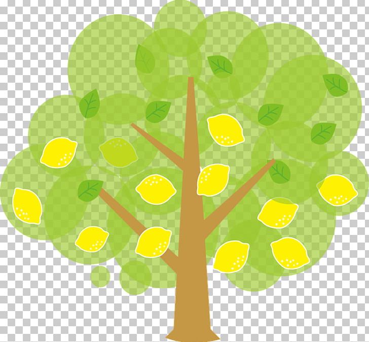 Lemon Key Lime Tree PNG, Clipart, Branch, Circle, Citrus, Clip Art, Free Content Free PNG Download