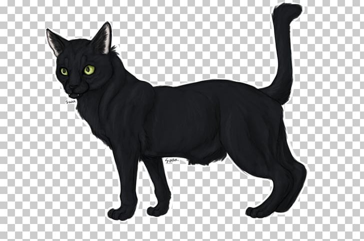 Manx Cat Korat Whiskers Domestic Short-haired Cat Fur PNG, Clipart, Black, Black And White, Black Cat, Bombay, Canidae Free PNG Download