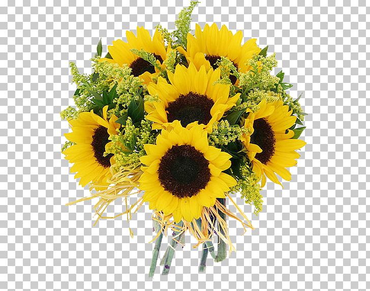 Common Sunflower Floristry Cut Flowers Daisy Family PNG, Clipart,  Free PNG Download