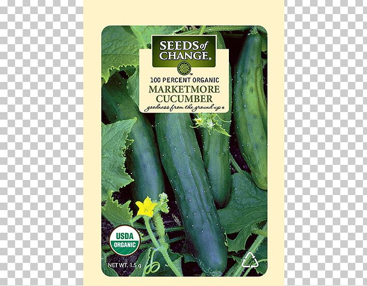 Cucumber Organic Food Seeds Of Change W. Atlee Burpee & Co. PNG, Clipart, Bean, Cereal, Cucumber, Cucumber Gourd And Melon Family, Cucumis Free PNG Download