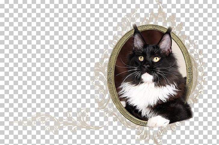 Norwegian Forest Cat Maine Coon Whiskers Kitten Domestic Short-haired Cat PNG, Clipart, Black Cat, Carnivoran, Cat, Cat Like Mammal, Domestic Shorthaired Cat Free PNG Download