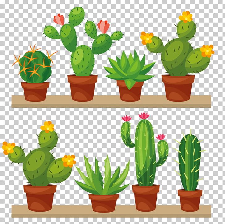Cactus PNG - Watercolor Cactus, Cactus Flower, Cartoon Cactus