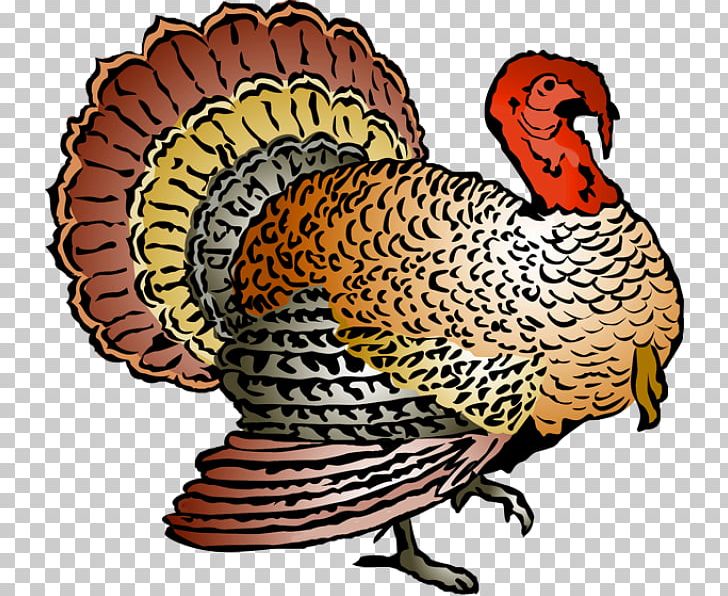 Turkey Meat Thanksgiving PNG, Clipart, Beak, Bird, Blog, Chicken, Cooking Free PNG Download