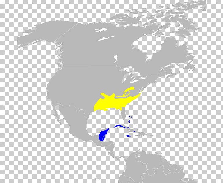United States Mexico City University Of The Basque Country Central America Tanager PNG, Clipart, Area, Central America, Europe, Location, Map Free PNG Download