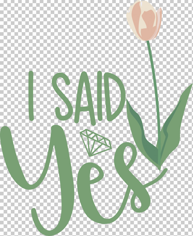 I Said Yes She Said Yes Wedding PNG, Clipart, Bride, Bridegroom, Clothing, Decoration, Flower Free PNG Download